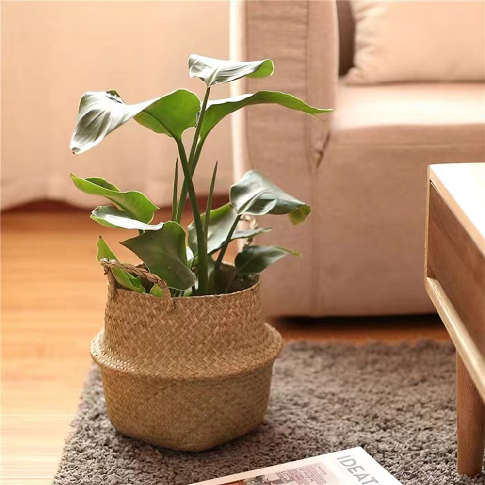 Plant Basket with Handles Wick - Basket Bag Wicker review and price