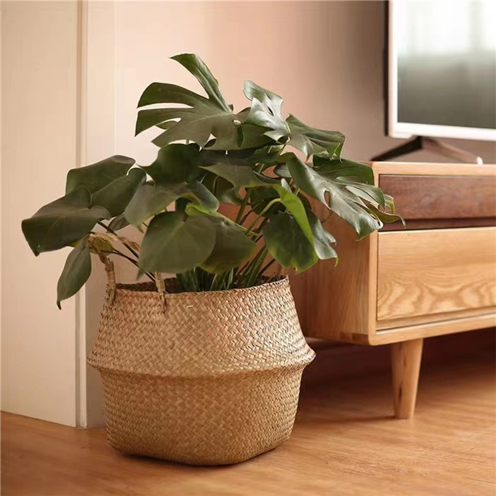 Plant Basket with Handles Wick - Basket Bag Wicker review and price
