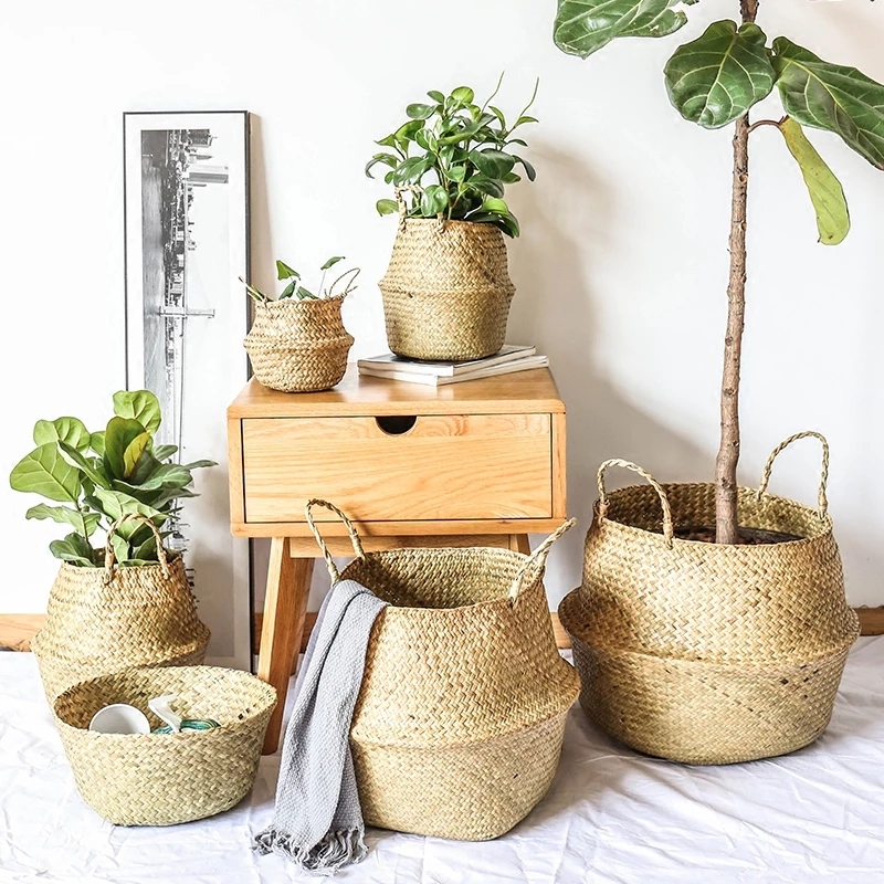 Zerolife Seaweed Wicker Basket - Basket Bag Wicker review and price